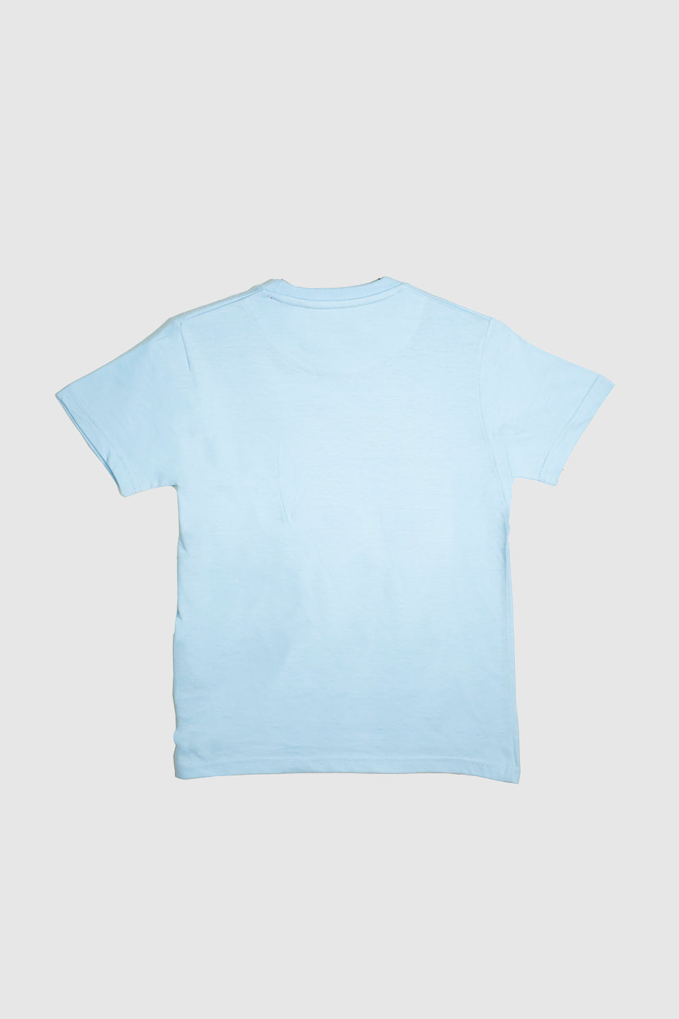 Boys Sky Blue T-Shirt With Bugs Graphic