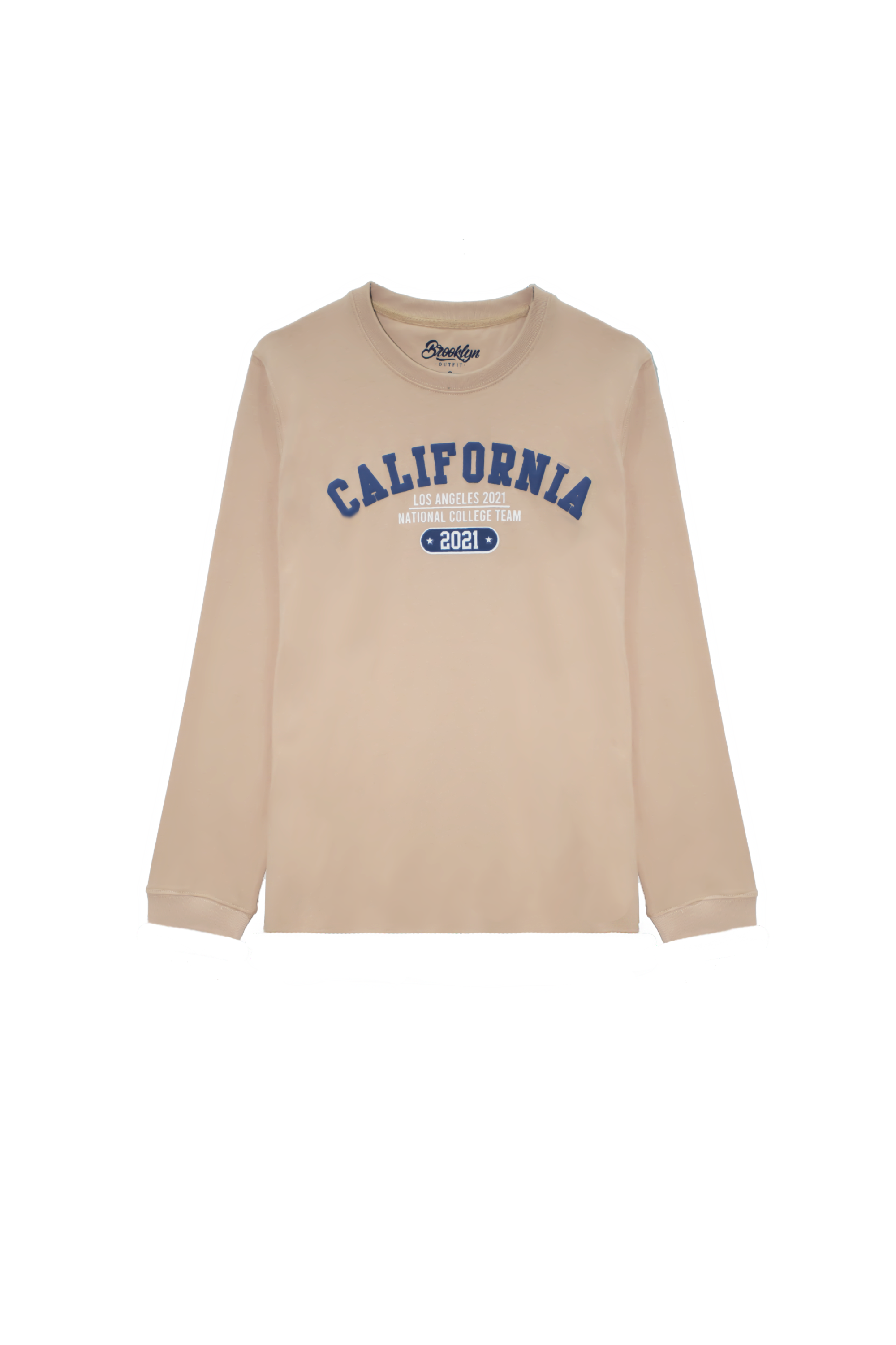 Boys Regular Fit Brown T-Shirt with California Graphics