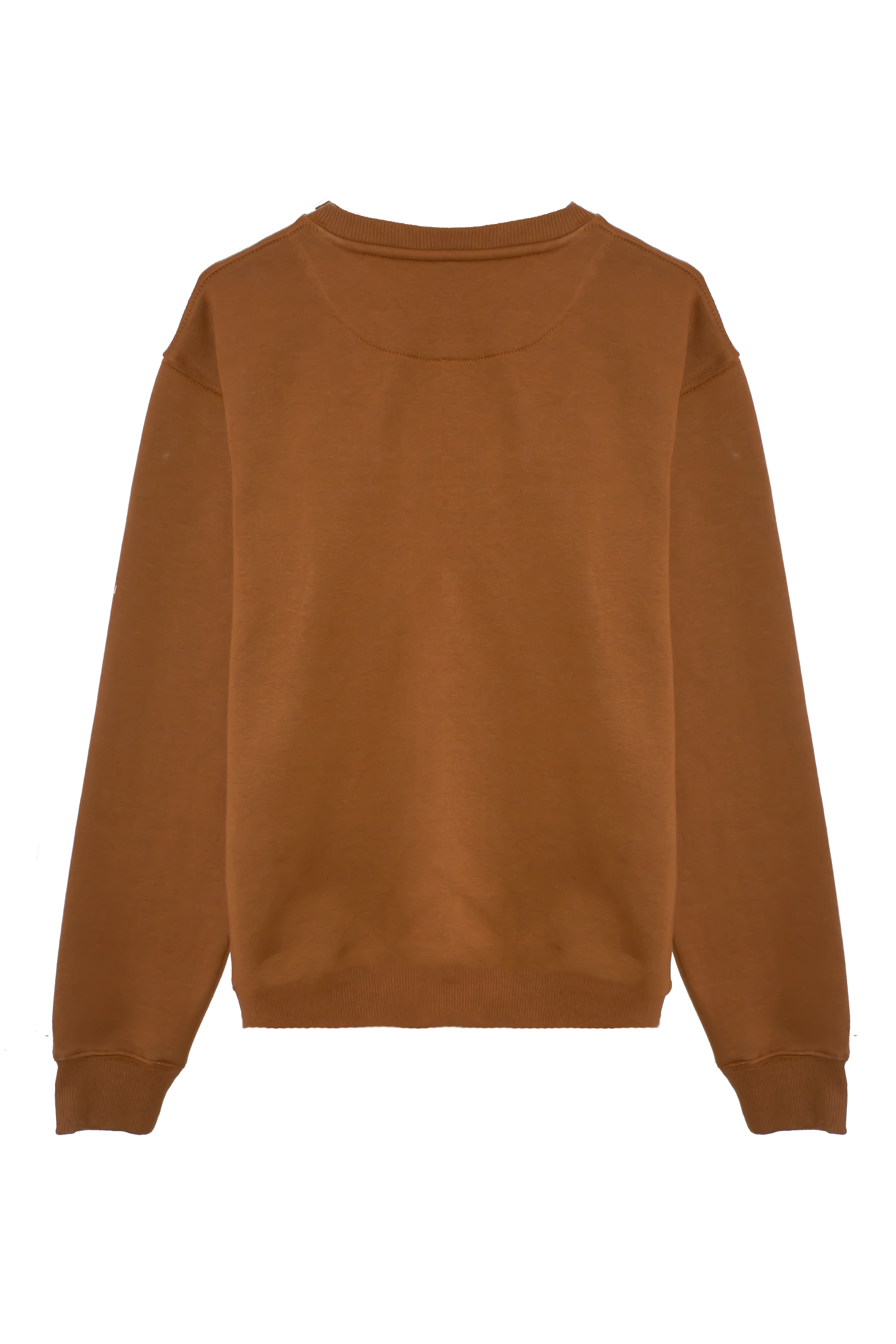 Coordinate Stripe Sweatshirt - Brown